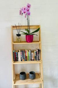 a book shelf with a potted plant and books at Origin Cottage in eMalahleni