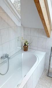 a bathroom with a shower and a bath tub at Dia Mare Taubenschlag in Ueckeritz