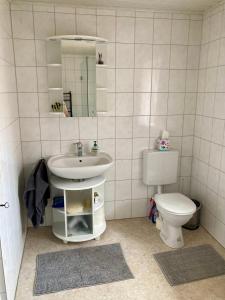 a bathroom with a sink and a toilet at Ferienhaus Alter Hof in Volkach