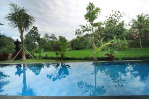 Bazén v ubytování Byasa Ubud nebo v jeho okolí