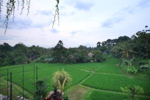 Zahrada ubytování Byasa Ubud