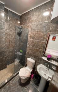 a bathroom with a shower and a toilet and a sink at Basha Pyramids Best View in Giza +46 photos
