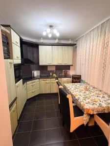 a kitchen with a table and a table and a table and a table at Apartamani Evelin in Veliko Gradište