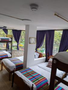 a bedroom with three bunk beds and purple curtains at Crater Eruption Backpacker Hostel in Baños