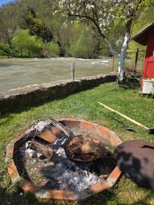 a fire pit in the grass next to a river at Apartman Vrbas in Donji Vakuf