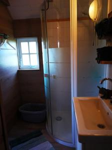 a bathroom with a shower and a sink at Trekkershut - Tiny House - Hikers cottage in Wijster