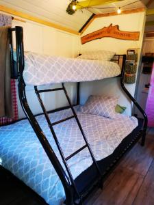 a couple of bunk beds in a room at Trekkershut - Tiny House - Hikers cottage in Wijster