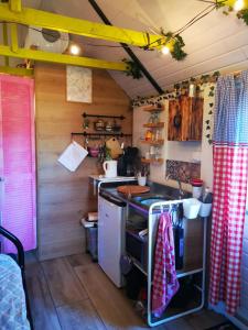 a small kitchen with a stove and a sink at Trekkershut - Tiny House - Hikers cottage in Wijster