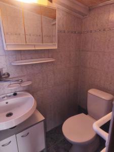 a bathroom with a white toilet and a sink at Chata Vrcov in Vrcov