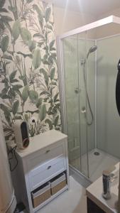 a bathroom with a shower and a white dresser at Le cocoon de choupette in Cuvilly