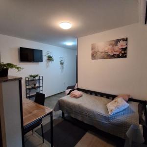 a small room with a bed and a table and a table sidx sidx at Studio apartmani Atlantik in Nedelišće