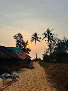 a dirt road with two palm trees and a building at Si' Casa in Mandrem