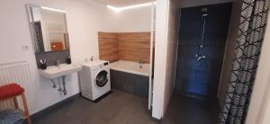 a bathroom with a sink and a washing machine in it at Wein4tel Auszeit in Blumenthal