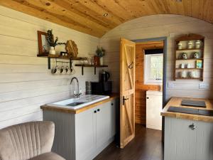 a small kitchen with a sink and a counter at Oakies Farm Stays in Llandovery