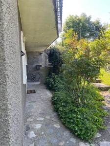 a walkway leading to a building with a bush at Cocon de douceur in La Ravoire