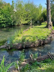 an island in a river with grass and trees at Family Apparts Criel 1 in Criel-sur-Mer