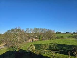 a grassy hill with trees and a fence in a field at L'Orée des Bois in Paliseul