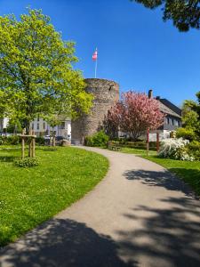 a path with a flag on top of a castle at Sweet&City STUDIO in Saint-Vith