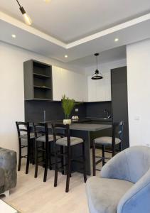 a kitchen and living room with a table and chairs at Swiss Apartments 3 in Velika Plaža