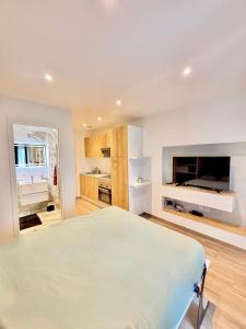 a bedroom with a large bed and a flat screen tv at Cozy studio Annecy in Poisy