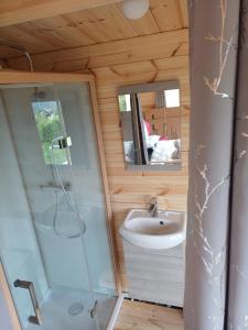 a bathroom with a shower and a sink at Douglas in Saint-Racho