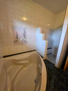 a bath tub in a bathroom with a picture on the wall at Maison BAVANS in Bavans +3 photos