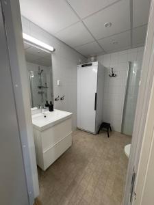 a bathroom with a sink and a mirror and a toilet at Panorama 3 Kungsberget in Järbo +12 photos