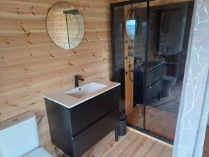 a bathroom with a sink and a shower at Grand Chêne in Saint-Racho