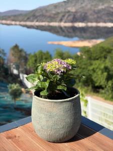 a pot of flowers sitting on a ledge with a view of the water at Estrela do Gerês - Casa Fernandes in Outeiro