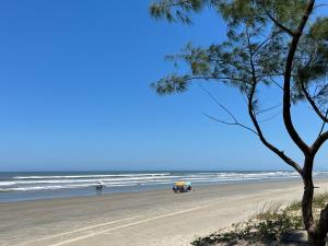 a view of a beach with a tree and the ocean at Pousada Açaí in Ilha Comprida