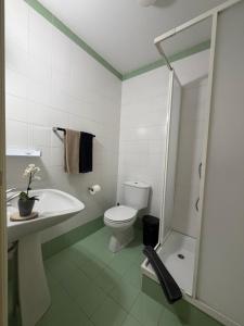 a bathroom with a toilet and a sink and a shower at Casa dos avós in Maceira