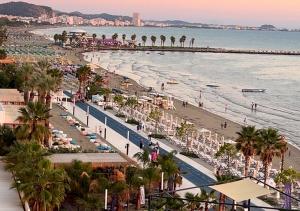 a view of a beach with palm trees and the ocean at Fluctus Apartments in Durrës