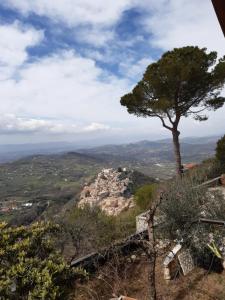 a tree on top of a hill with a view at la casa nell'acropoli , primo piano in Arpino