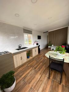 a kitchen with a table and a sink and a counter at Tinajas martina in Las Cruces