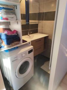a laundry room with a washing machine and a sink at Appartement Centre Ville in Questembert