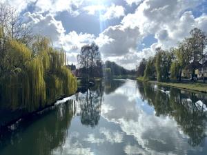 a river with trees and clouds in the sky at Moderne Wohnung am Flussufer in Herford +1 photo