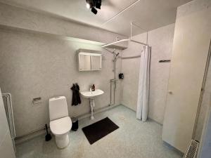 a bathroom with a toilet and a sink at Falkenbergsvägen 1C, Ullared in Ullared +7 photos