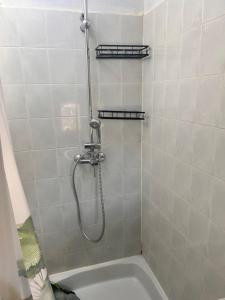 a bathroom with a shower with a bath tub at Charmant T3 au centre de gréoux les bains in Gréoux-les-Bains +10 photos