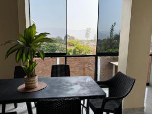 a table with chairs and a potted plant in front of a window at Búnker de Coco in Pachacamac