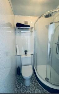 a bathroom with a toilet and a shower at Harrington House - Perfect for contractors Sleeps 15 in Workington