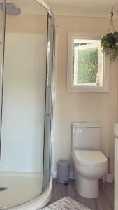 a bathroom with a toilet and a shower at Sun kissed beach haven in Waitarere +19 photos