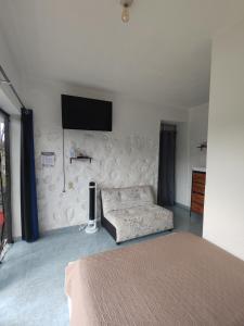 a bedroom with a bed and a tv on a wall at La gloria hospedajes in Cuernavaca