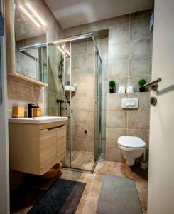 a bathroom with a toilet and a glass shower at Studio Vidik Sofija in Divčibare