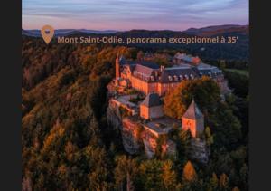 an aerial view of a castle in the forest at Le sympathique in Ittenheim