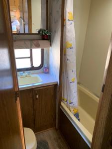 a bathroom with a toilet and a shower curtain at Gtown Campers in Geraldton