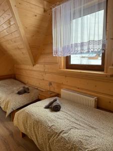 two beds in a wooden room with a window at Domek Pod Tatrami - Koniówka, blisko Term Chochołowskich in Koniówka