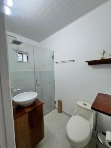 a bathroom with a toilet and a sink and a shower at Entre Palmas Venao in Playa Venao