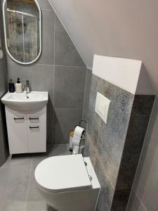 a bathroom with a white toilet and a sink at Domek Pod Tatrami - Koniówka, blisko Term Chochołowskich in Koniówka +3 photos