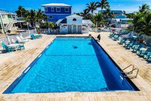 an overhead view of a swimming pool with chairs and a building at Happier in the Keys Waterfront Tiny Home in Key Largo