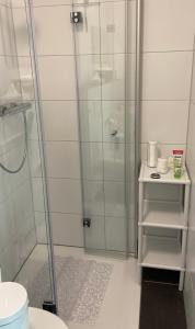 a bathroom with a shower with a glass door at Moderner Bungalow E25 in Lichtenau